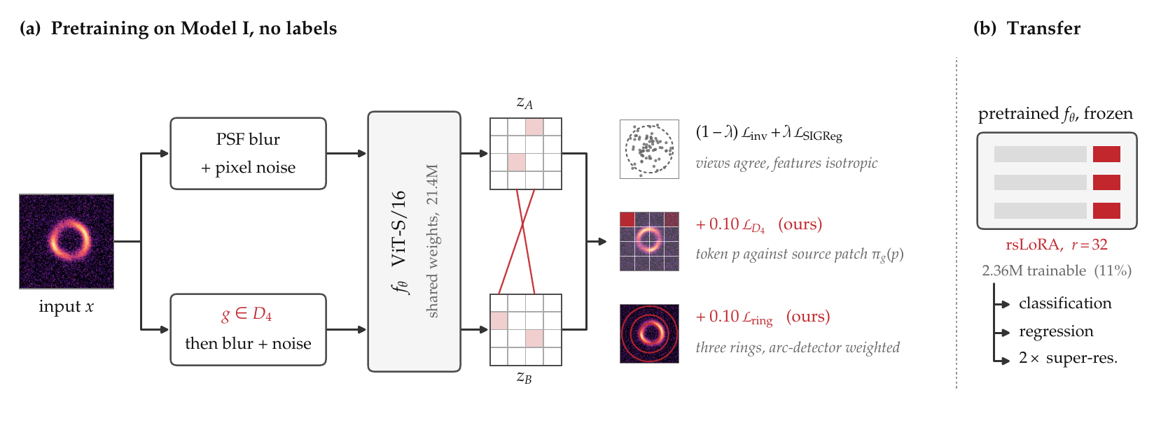 Diagram of Lens-LeJEPA: two views of an image pass through one ViT; three loss terms act on the outputs; the frozen encoder with rsLoRA serves three tasks.
